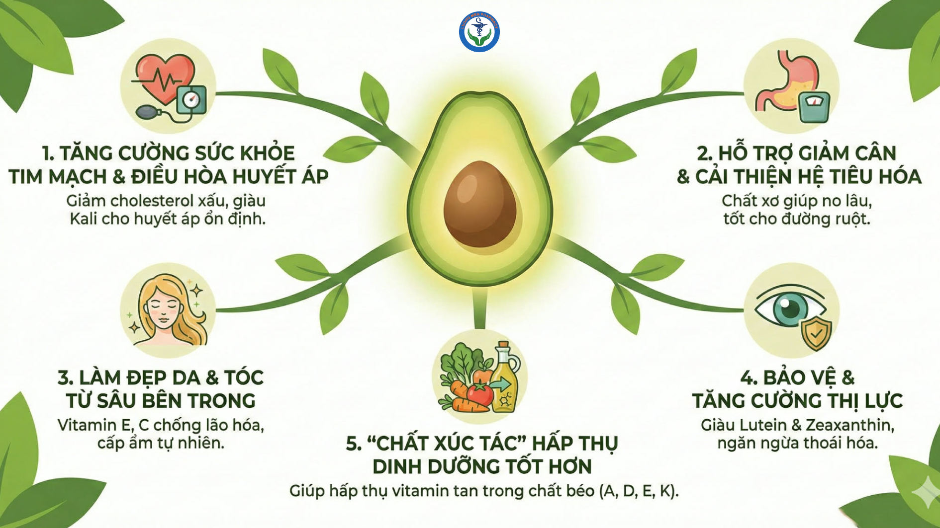 Quả Bơ Có Tác Dụng Gì? 5 Lợi Ích Sức Khỏe Nổi Bật Và Cách Ăn Bơ ĐÚNG CÁCH